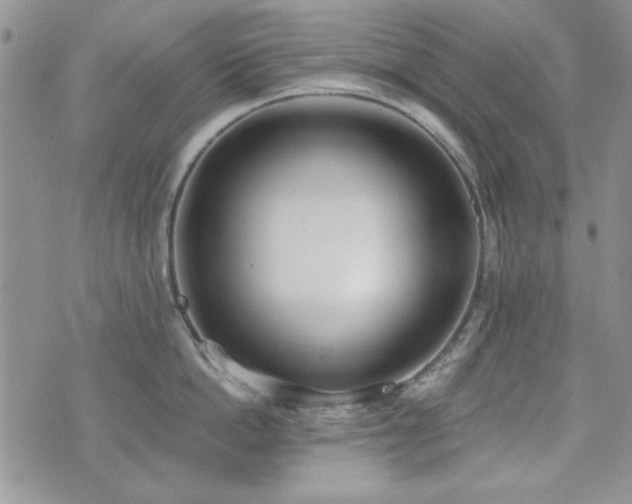 X0000073720862200608031303