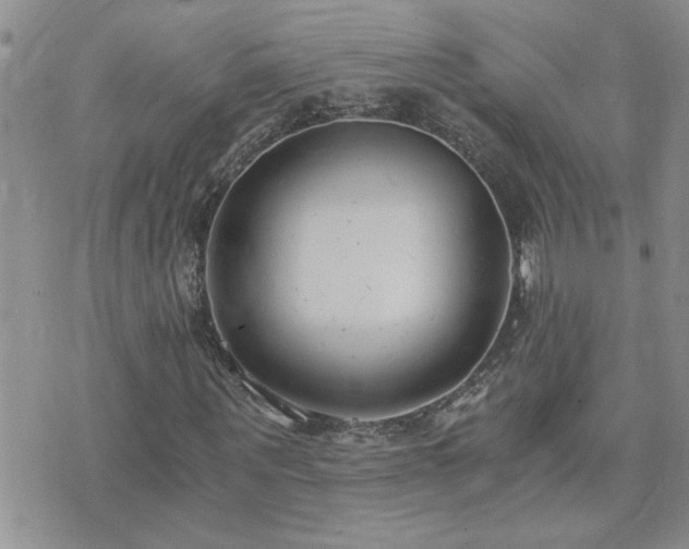 X0000073720867200608031302