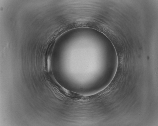 X0000073720868200608031302