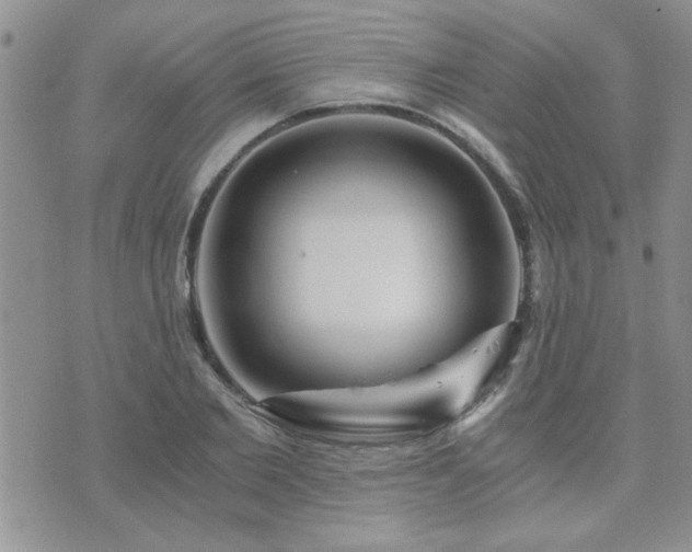 X0000073720885200608031302