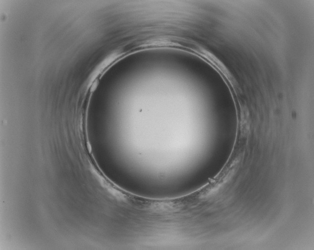 X0000073720909200608031301