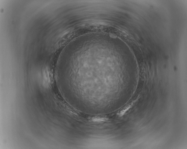 X0000073721013200608031259