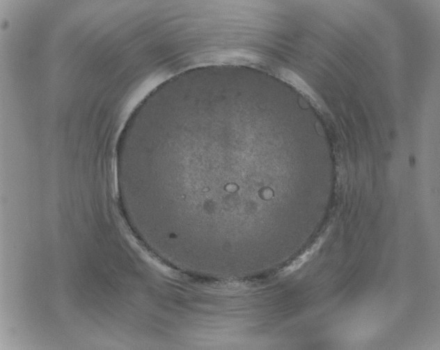 X0000073721079200608031258