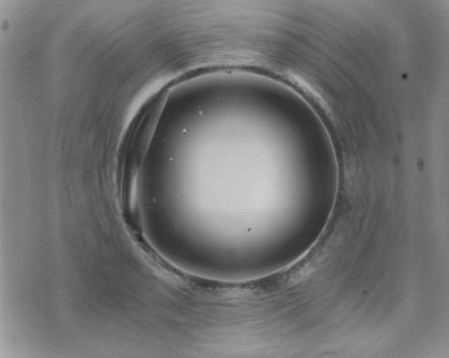 X0000073721085200608031258