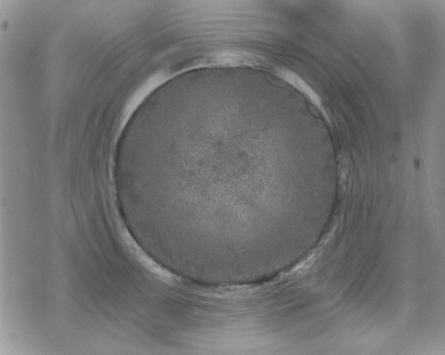 X0000073721091200608031258