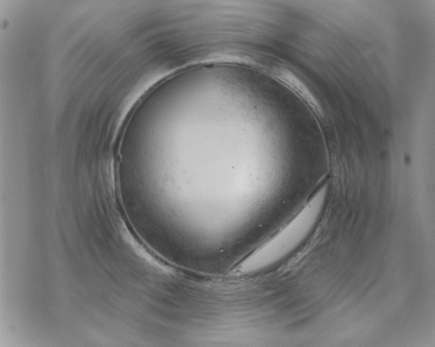 X0000073721092200608031258