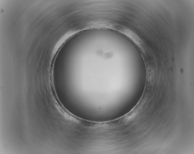 X0000073721094200608031258