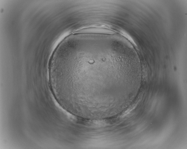 X0000073721095200608031258