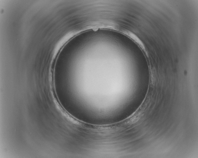 X0000073721096200608031258