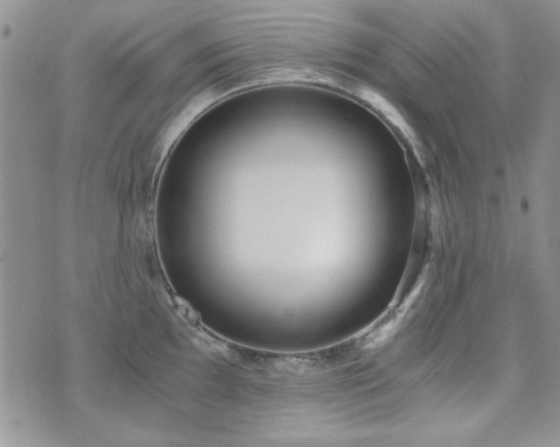 X0000073721097200608031258