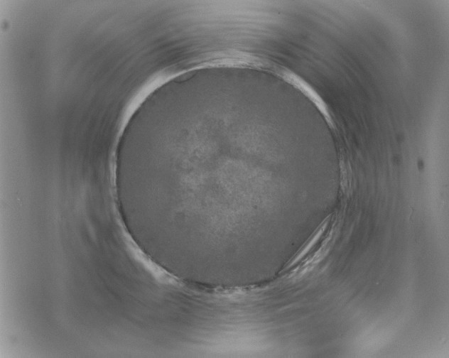 X0000073721099200608031258