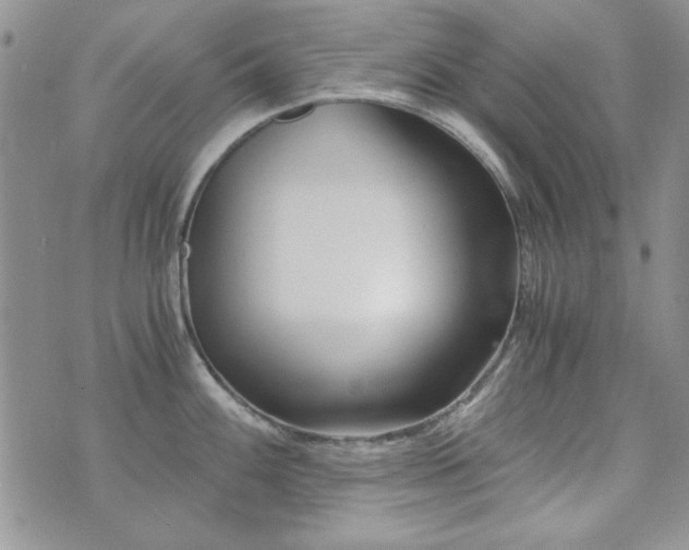 X0000073721100200608031258