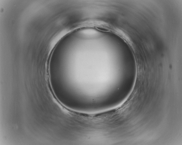 X0000073721103200608031258