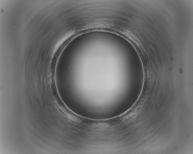 X0000073721119200608031258