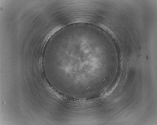 X0000073721121200608031258