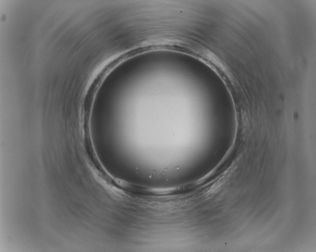 X0000073721124200608031258