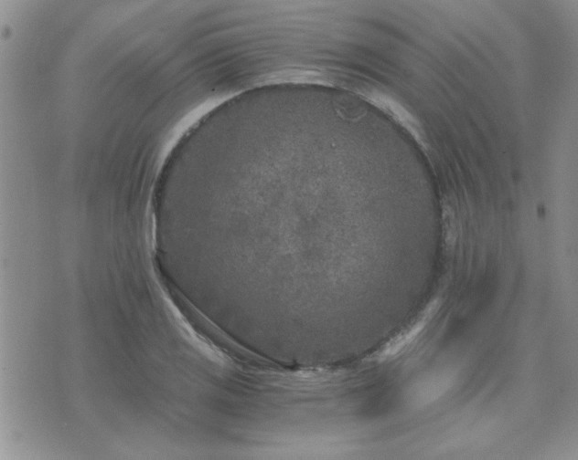 X0000073721125200608031258