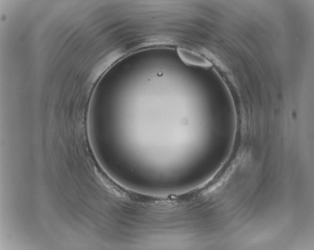 X0000073721137200608031258