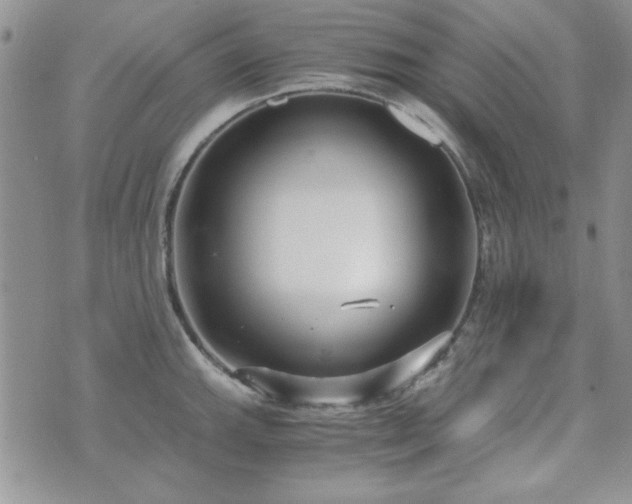 X0000073721143200608031258