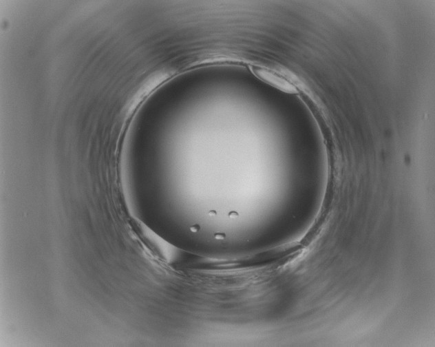 X0000073721145200608031258