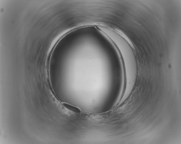 X0000073721148200608031258