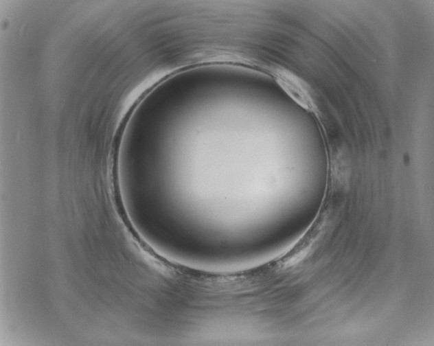 X0000073721149200608031258