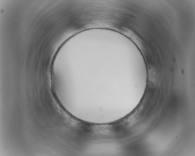 X0000073721150200608031258