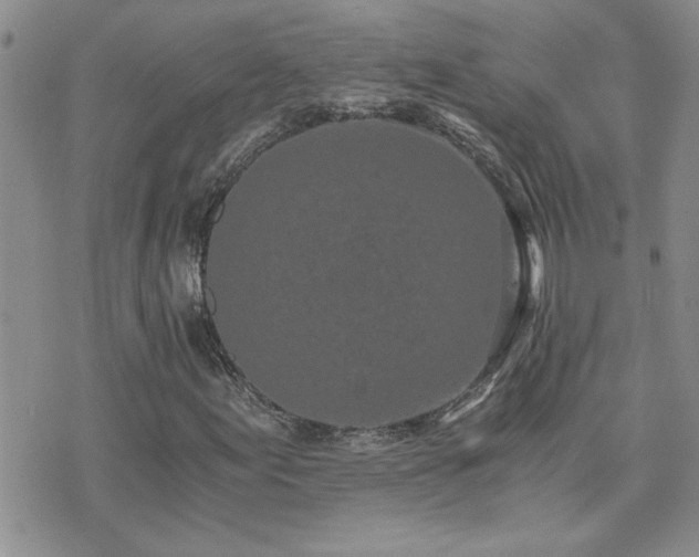 X0000073721155200608031257