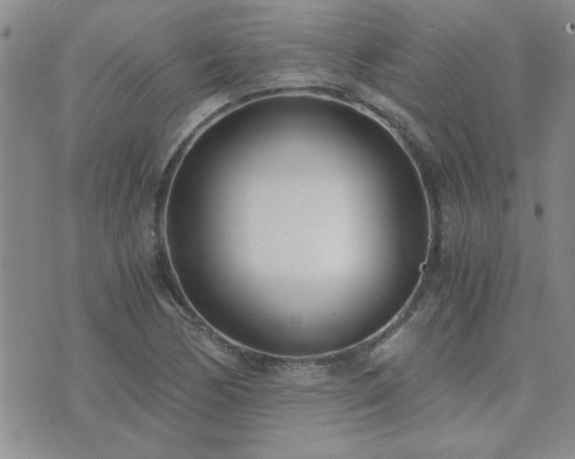 X0000073721170200608031257