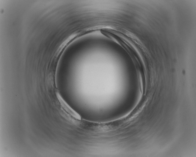 X0000073721177200608031257