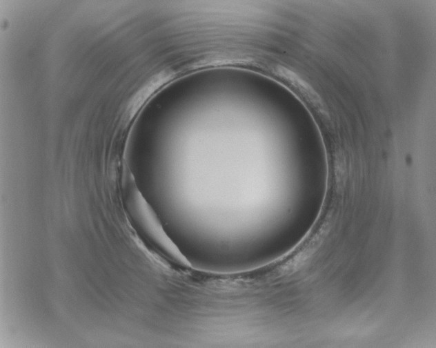 X0000073721185200608031257