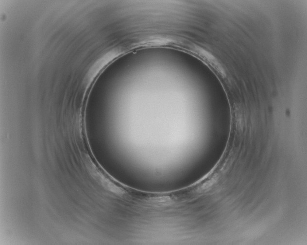 X0000073721186200608031257