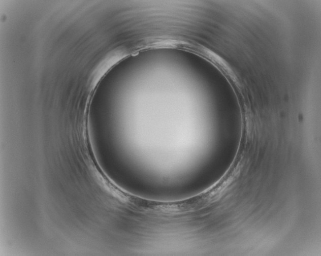 X0000073721194200608031257
