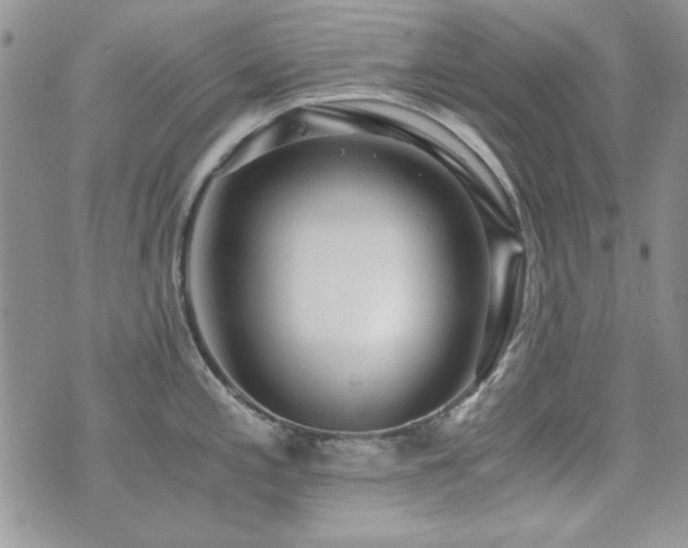X0000073721197200608031257