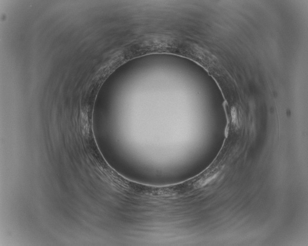 X0000073721203200608031256