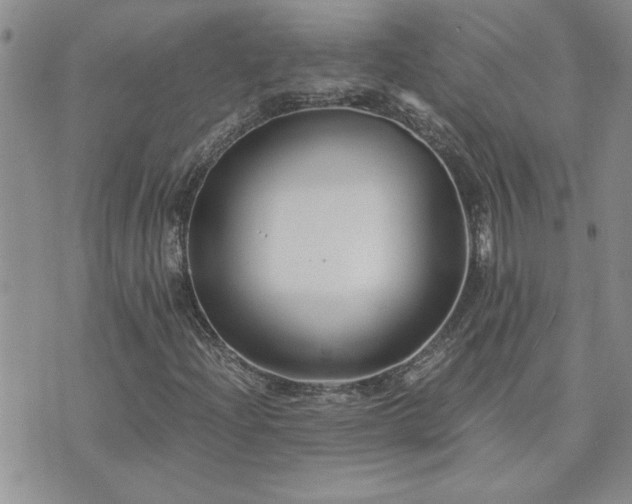 X0000073721204200608031256