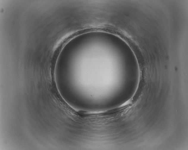X0000073721214200608031256