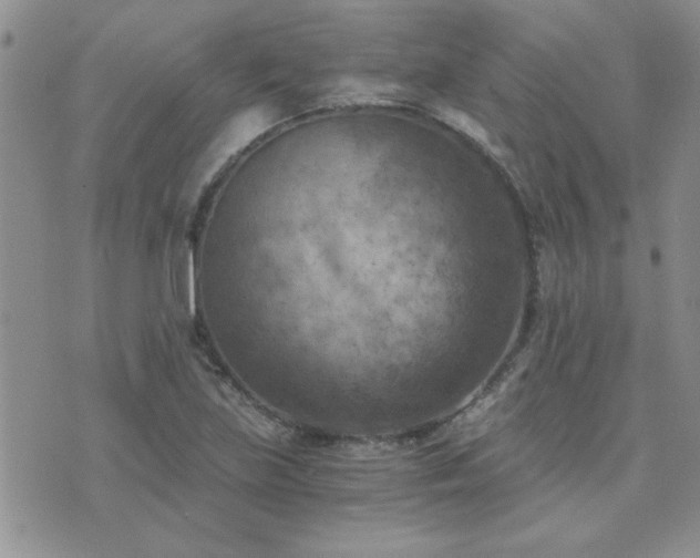 X0000073721219200608031256