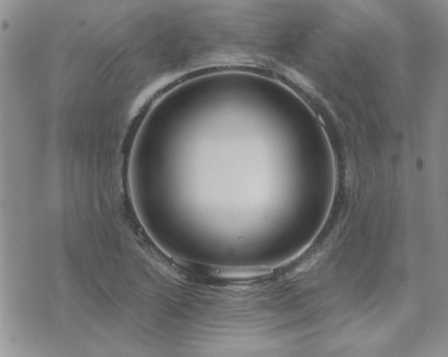 X0000073721222200608031256