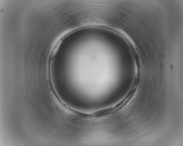 X0000073721246200608031256