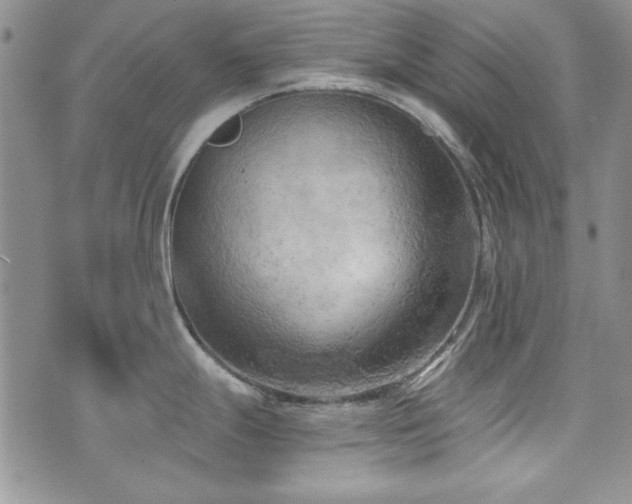 X0000073721247200608031256