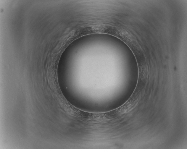 X0000073721249200608031256