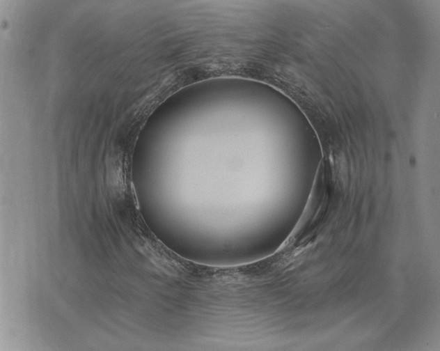 X0000073721250200608031256