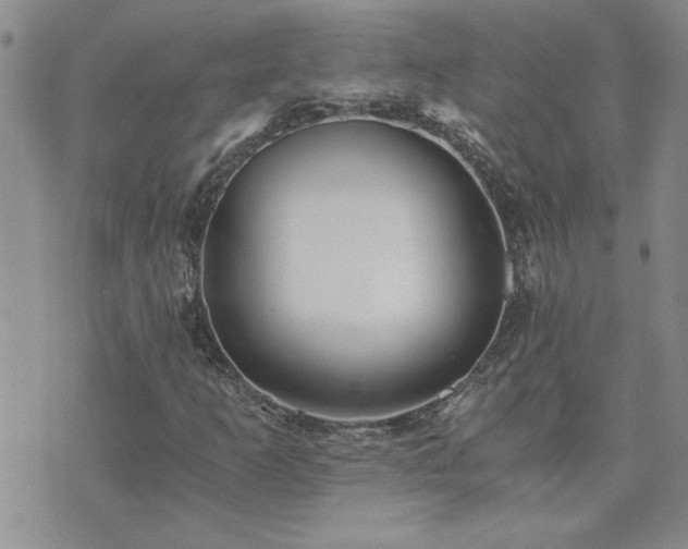 X0000073721253200608031256