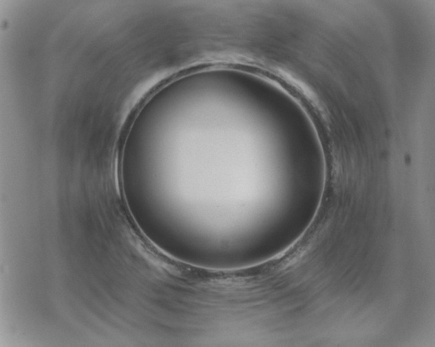 X0000073721272200608031255