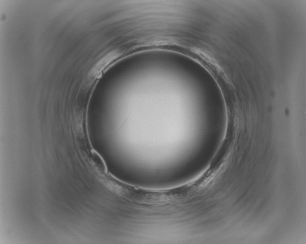 X0000073721273200608031255