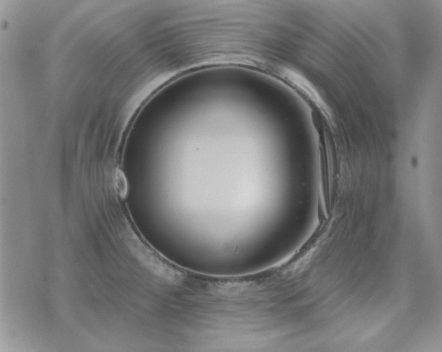 X0000073721284200608031255