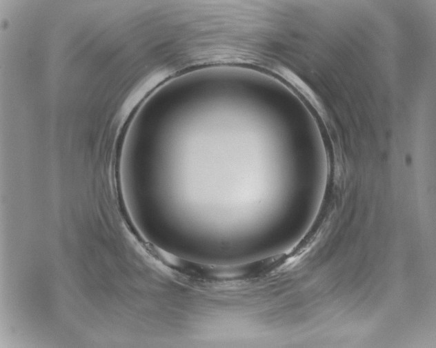 X0000073721293200608031255