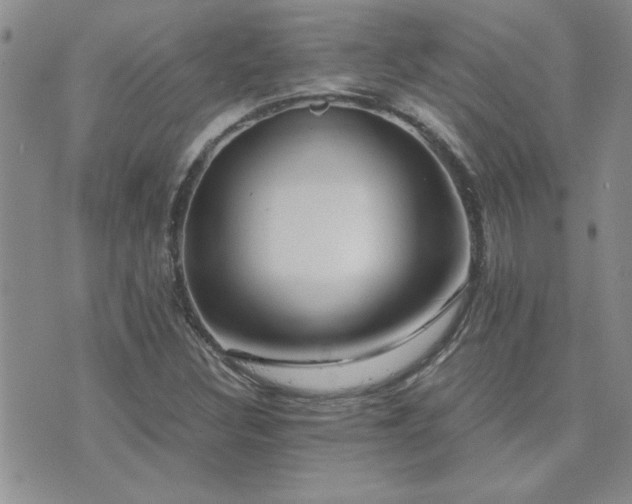 X0000073721308200608031254