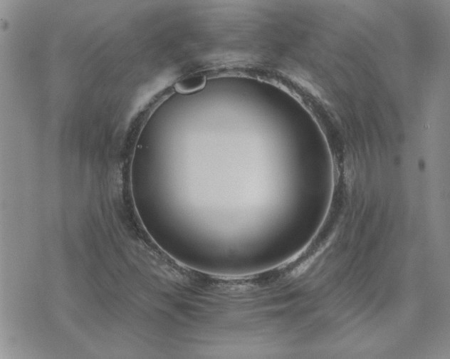 X0000073721309200608031254